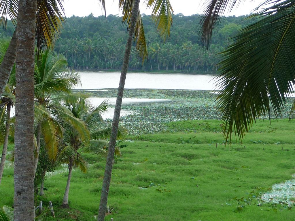 Ganesh Ayurveda Holiday Home Bed And Breakfast Kovalam Bagian luar foto