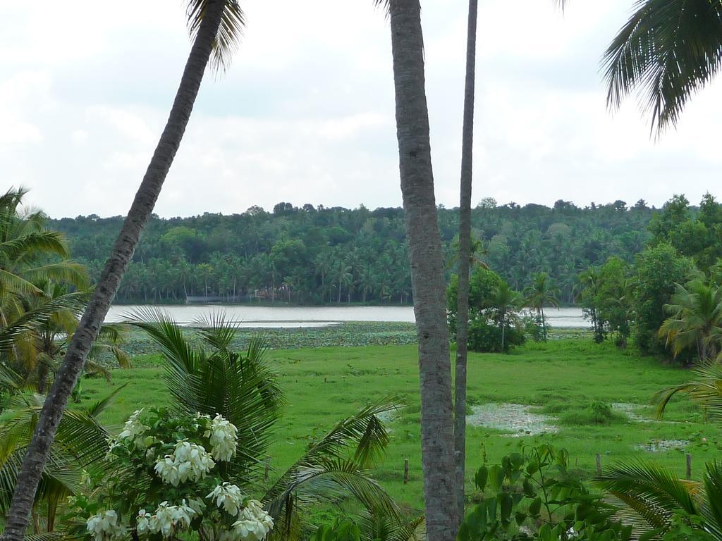 Ganesh Ayurveda Holiday Home Bed And Breakfast Kovalam Bagian luar foto