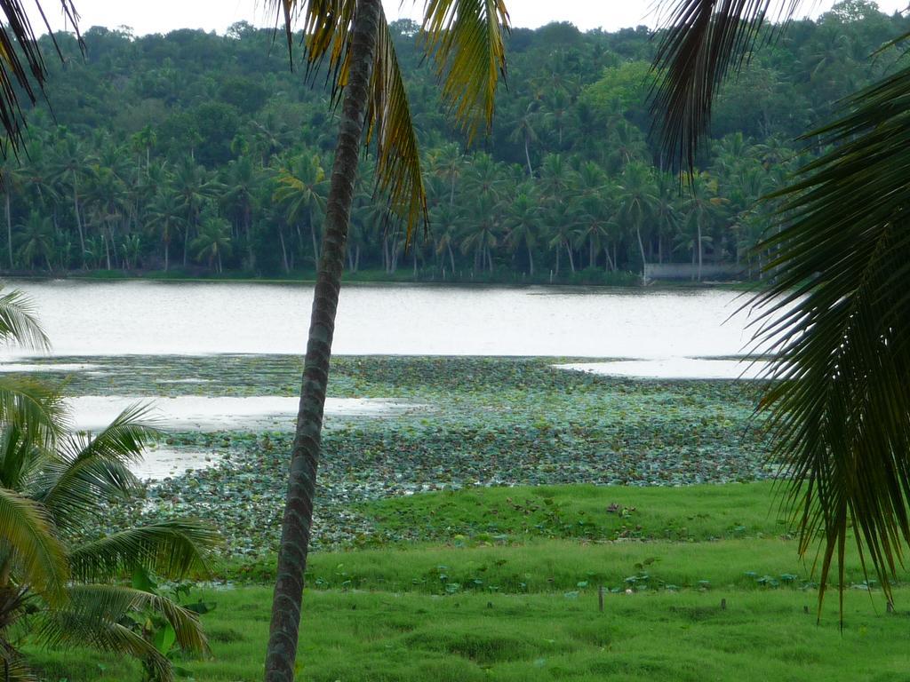 Ganesh Ayurveda Holiday Home Bed And Breakfast Kovalam Bagian luar foto